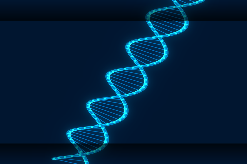 Leaders Edge Labs materials spread across a table